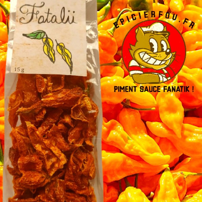 Piment séché Fatalii couleur chocolat