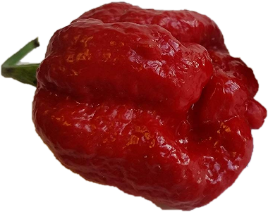 scorpion-extreme-piment-btr-scoville-epicier-fou