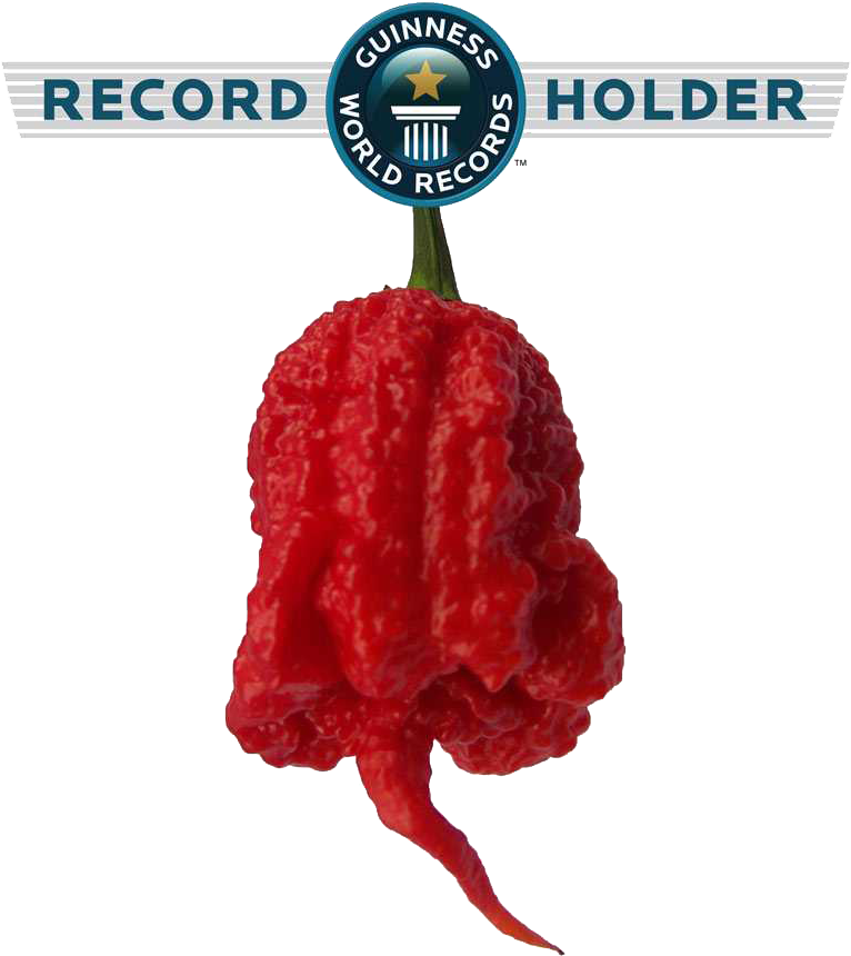 Piment Carolina Reaper 