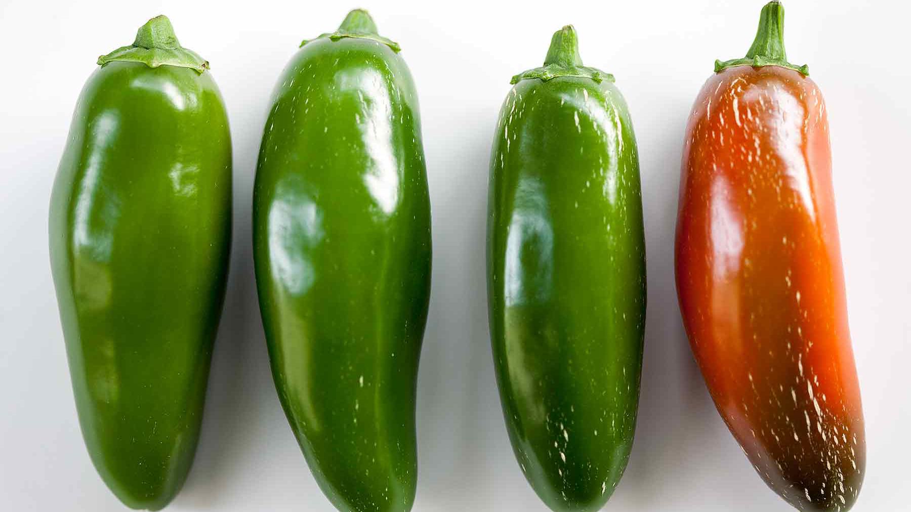 piment jalapeno