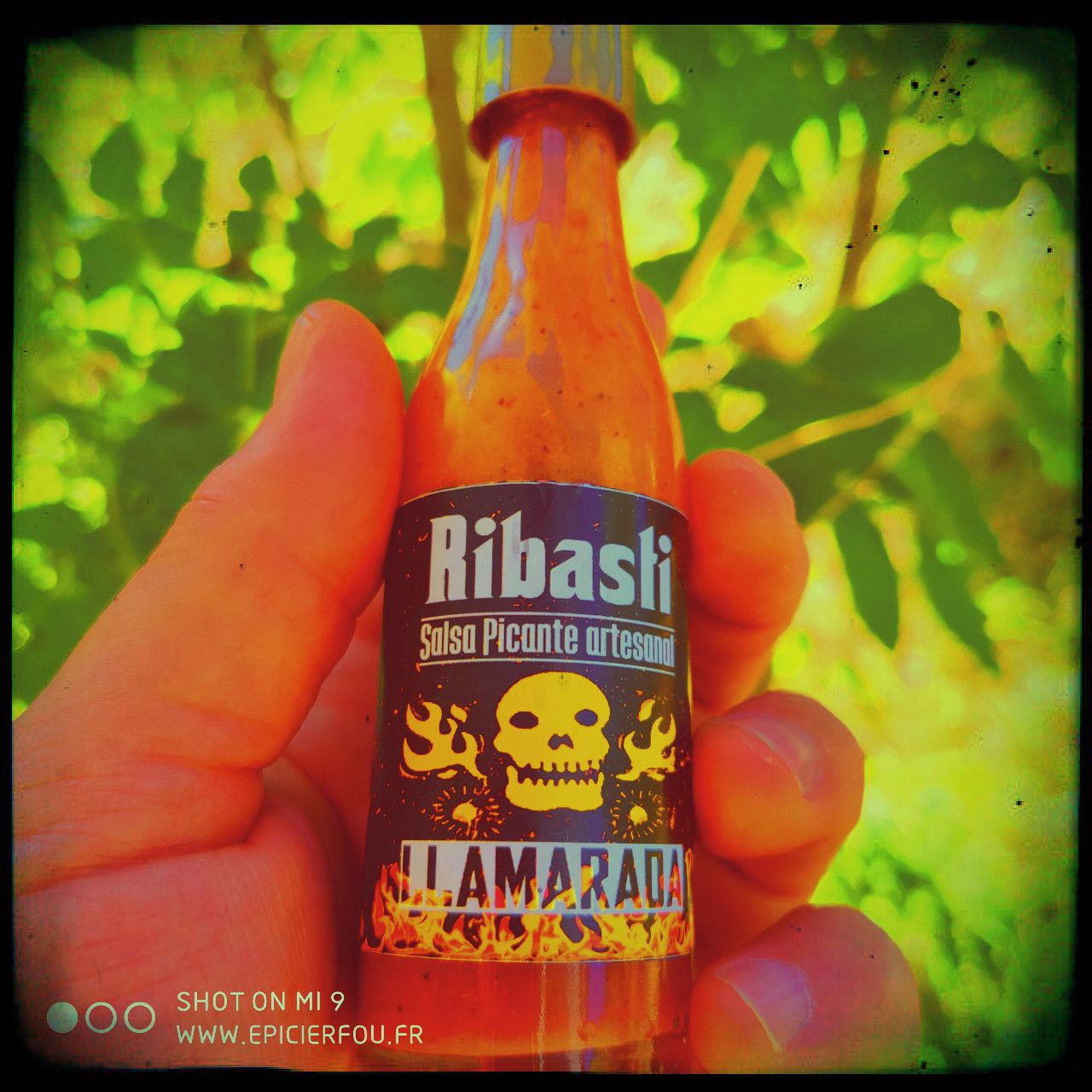 salsa picante ribasti llamarada premium